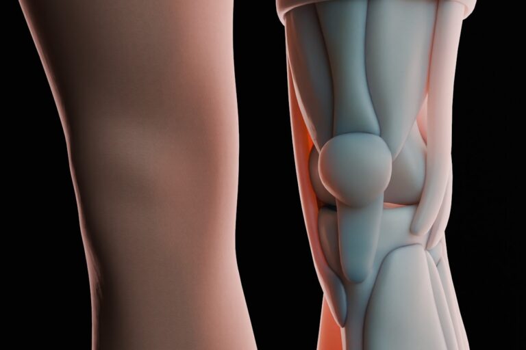 Anatomical illustration of the knee and patellar tendon affected by patellar tendinitis, at Regenerative Joint Clinics in Riverdale, GA