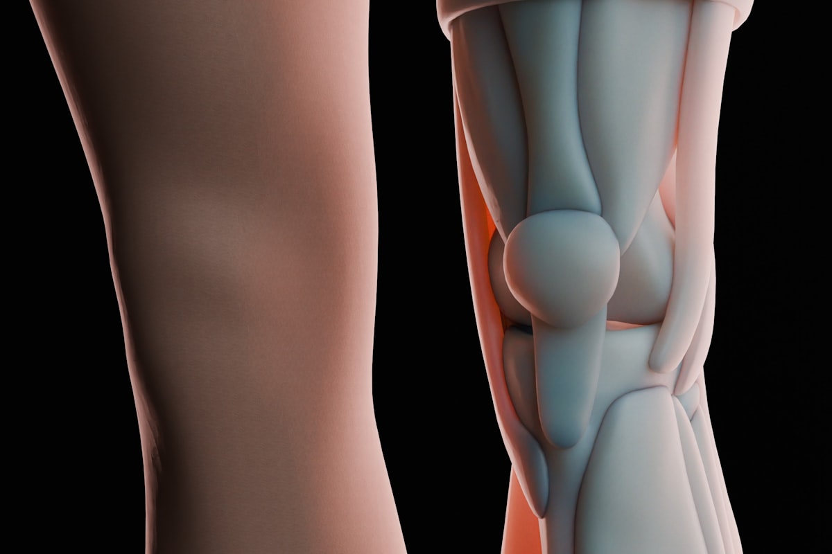 Anatomical illustration of the knee and patellar tendon affected by patellar tendinitis, at Regenerative Joint Clinics in Riverdale, GA
